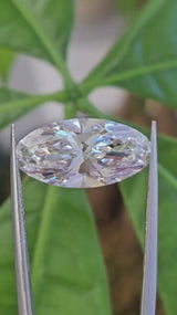 IGI 5.12CT MOVAL E VVS2