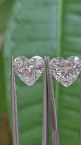 IGI 2.01CT + 2.02CT HEART D VS1 PAIR
