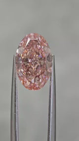 IGI 3.01CT OVAL FANCY VIVID PINK VS1