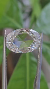 IGI 4.59CT OVAL ROSE CUT E VVS2