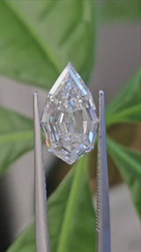 IGI 3.04CT PEAR STEP CUT F VVS2