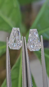 IGI 1.06CT + 1.07CT COFFIN CUT E VVS2