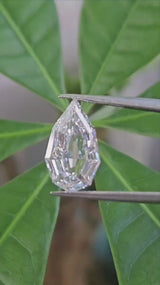 IGI 2.03CT PEAR STEP CUT E VVS2