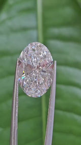 IGI 5.01CT OVAL E VS2