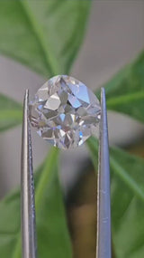 IGI 2.50CT OMC E VS1