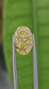 IGI 3.01CT OVAL FANCY VIVID YELLOW VS1