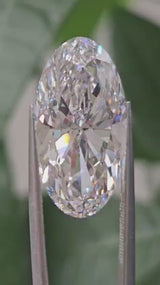 IGI 9.39CT MOVAL E VVS2