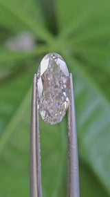 IGI 1.66CT MOVAL F VS1