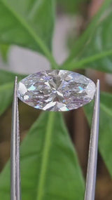 IGI 3.03CT MOVAL D VVS2