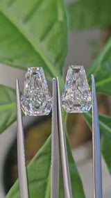 IGI 2.07CT + 2.08CT COFFIN CUT E VVS2