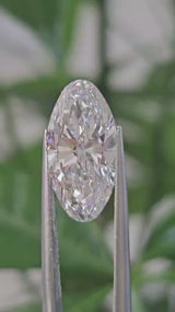 IGI 4.05CT MOVAL D VVS2