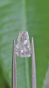 IGI 1.10CT COFFIN CUT D VVS2