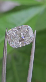 IGI 4.08CT OMC E VVS2
