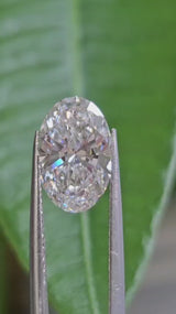 IGI 2.51CT OVAL E VS1