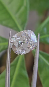 IGI 4.04CT OMC F VS1