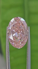 IGI 5.05CT OVAL FANCY VIVID PINK VS2