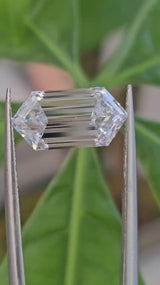 IGI 3.29CT HEXAGONAL STEP CUT D VVS2