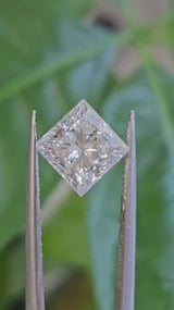 IGI 2.04CT PRINCESS F VS1