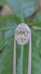 IGI 2.48CT OVAL E VS1