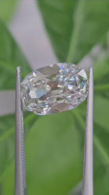 IGI 3.10CT OMC D VVS2