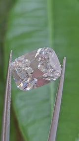 IGI 5CT OMC D VS1