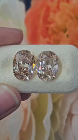 IGI 5.04CT + 5.25CT OMC FANCY DARK BROWN VS1