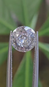 IGI 1.55CT PORTUGUESE D VS1
