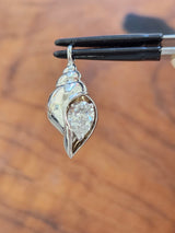 0.50+ ct Rose or White
gold shell pendant with a
pear-shaped lab diamond